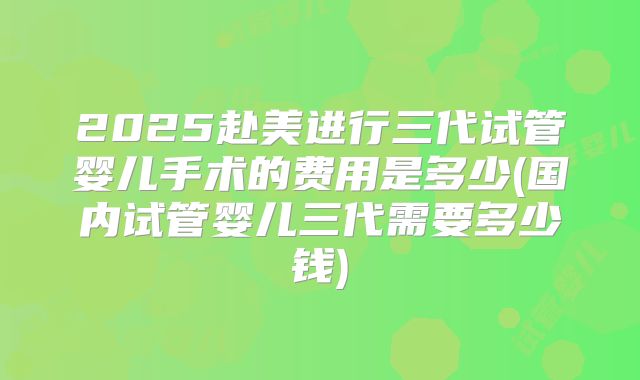 2025赴美进行三代试管婴儿手术的费用是多少(国内试管婴儿三代需要多少钱)