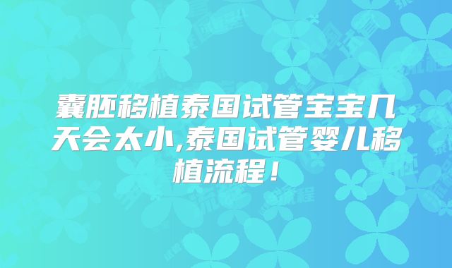 囊胚移植泰国试管宝宝几天会太小,泰国试管婴儿移植流程！