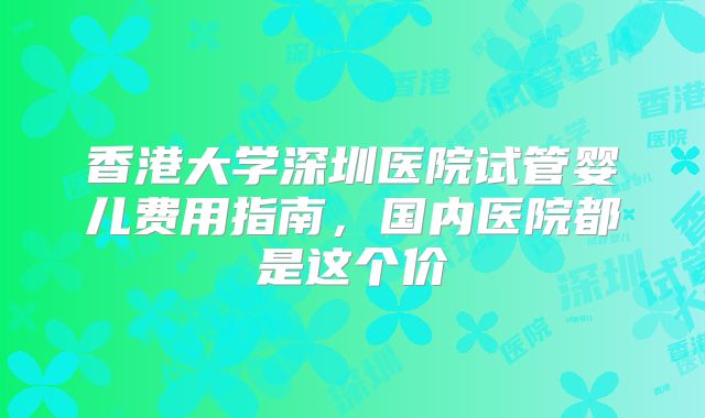 香港大学深圳医院试管婴儿费用指南，国内医院都是这个价