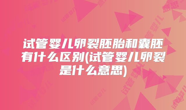 试管婴儿卵裂胚胎和囊胚有什么区别(试管婴儿卵裂是什么意思)