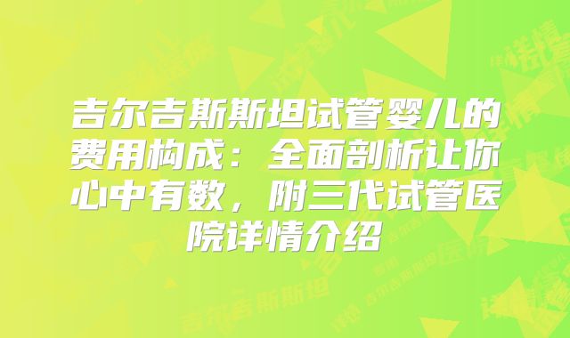 吉尔吉斯斯坦试管婴儿的费用构成：全面剖析让你心中有数，附三代试管医院详情介绍
