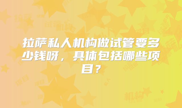 拉萨私人机构做试管要多少钱呀，具体包括哪些项目？