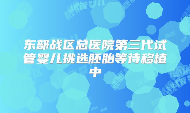 东部战区总医院第三代试管婴儿挑选胚胎等待移植中