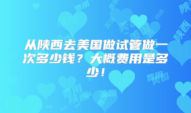 从陕西去美国做试管做一次多少钱?大概费用是多少!