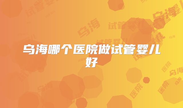 乌海哪个医院做试管婴儿好
