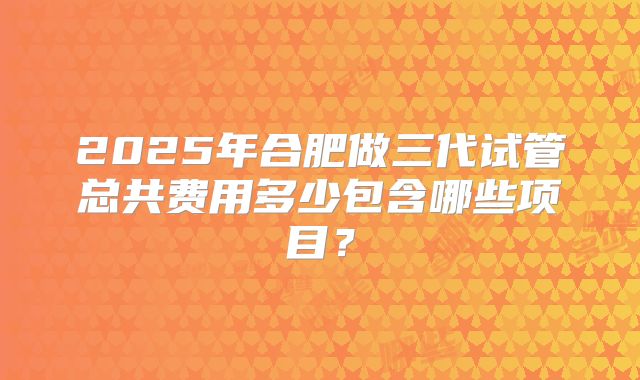 2025年合肥做三代试管总共费用多少包含哪些项目？
