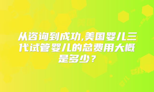 从咨询到成功,美国婴儿三代试管婴儿的总费用大概是多少？