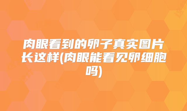 肉眼看到的卵子真实图片长这样(肉眼能看见卵细胞吗)