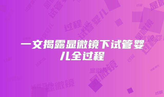 一文揭露显微镜下试管婴儿全过程