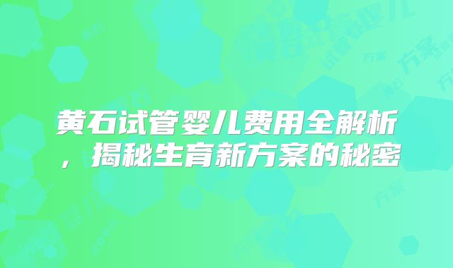 黄石试管婴儿费用全解析，揭秘生育新方案的秘密