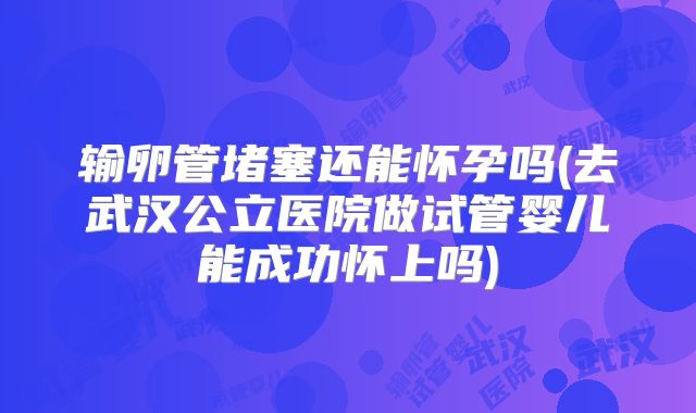 输卵管堵塞还能怀孕吗(去武汉公立医院做试管婴儿能成功怀上吗)