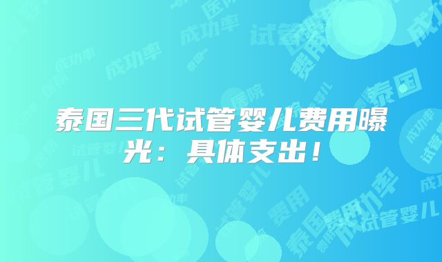泰国三代试管婴儿费用曝光：具体支出！