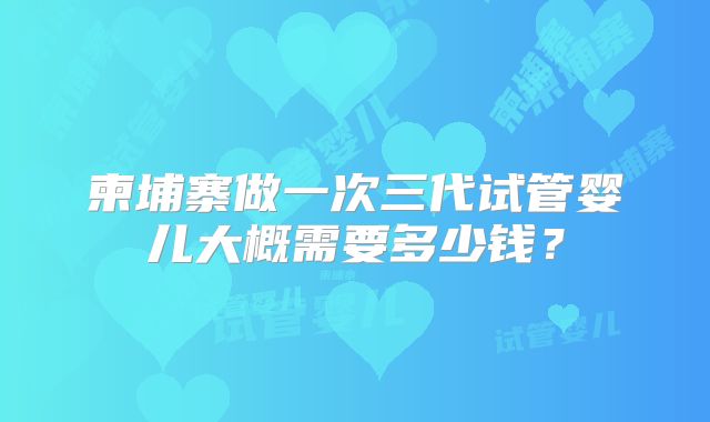 柬埔寨做一次三代试管婴儿大概需要多少钱？