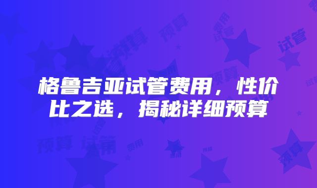 格鲁吉亚试管费用，性价比之选，揭秘详细预算