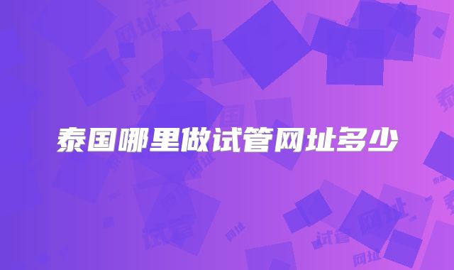 泰国哪里做试管网址多少