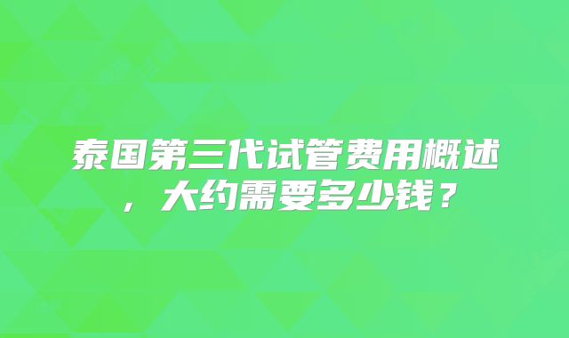 泰国第三代试管费用概述，大约需要多少钱？