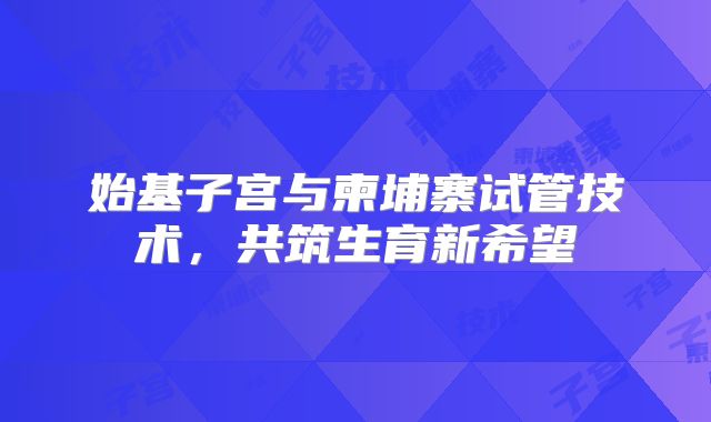 始基子宫与柬埔寨试管技术,共筑生育新希望