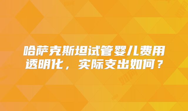 哈萨克斯坦试管婴儿费用透明化，实际支出如何？
