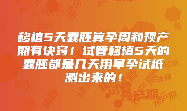 移植5天囊胚算孕周和预产期有诀窍！试管移植5天的囊胚都是几天用早孕试纸测出来的！