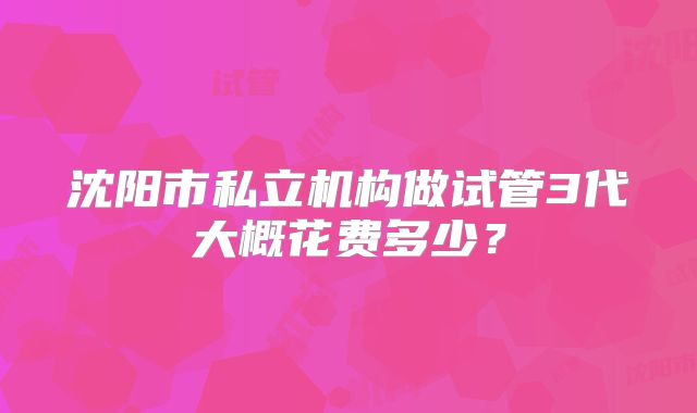 沈阳市私立机构做试管3代大概花费多少？