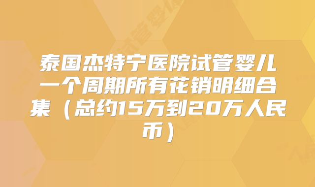 泰国杰特宁医院试管婴儿一个周期所有花销明细合集(总约15万到20万人民币)
