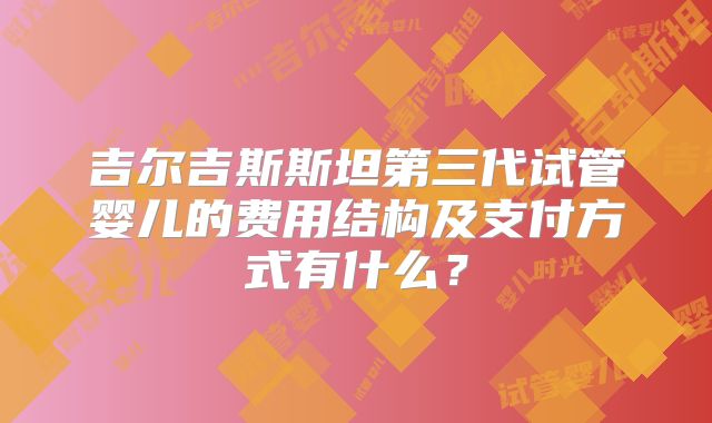 吉尔吉斯斯坦第三代试管婴儿的费用结构及支付方式有什么?