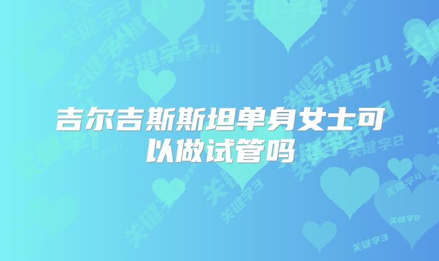 吉尔吉斯斯坦单身女士可以做试管吗