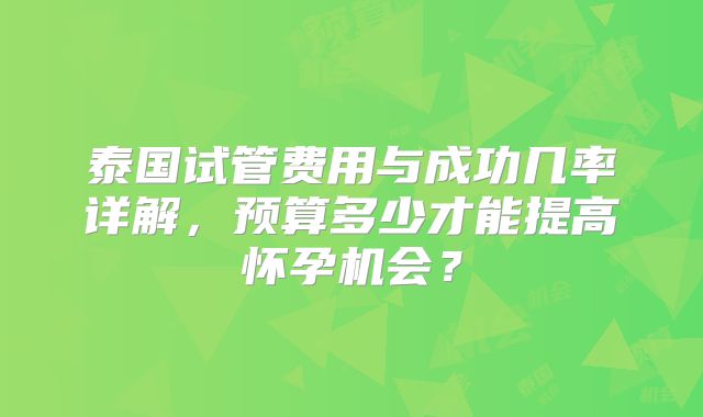 泰国试管费用与成功几率详解，预算多少才能提高怀孕机会？