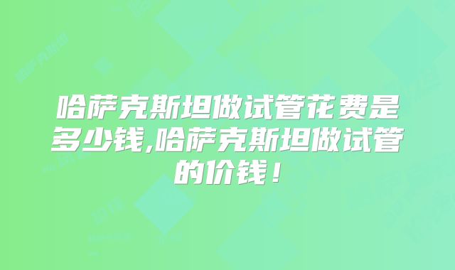 哈萨克斯坦做试管花费是多少钱,哈萨克斯坦做试管的价钱！