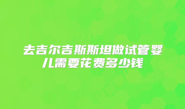 去吉尔吉斯斯坦做试管婴儿需要花费多少钱