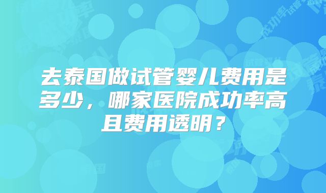 去泰国做试管婴儿费用是多少，哪家医院成功率高且费用透明？