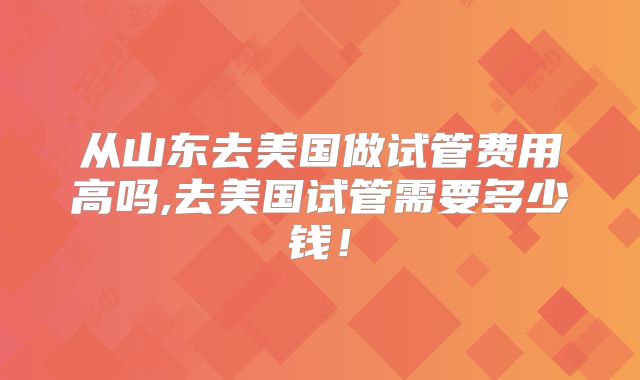 从山东去美国做试管费用高吗,去美国试管需要多少钱!