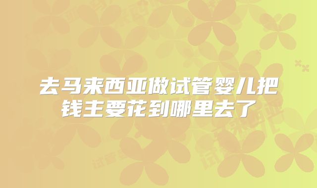 去马来西亚做试管婴儿把钱主要花到哪里去了