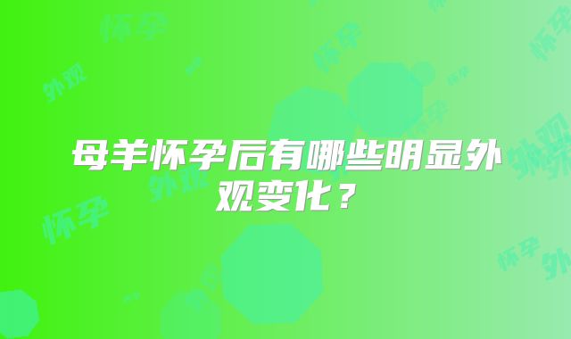 母羊怀孕后有哪些明显外观变化?