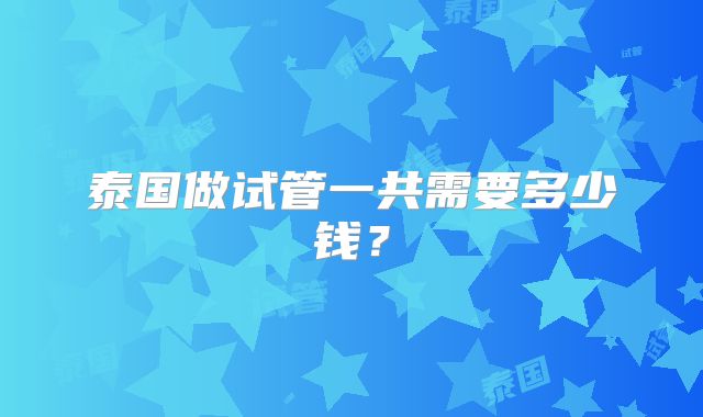泰国做试管一共需要多少钱？