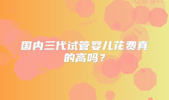 国内三代试管婴儿花费真的高吗？