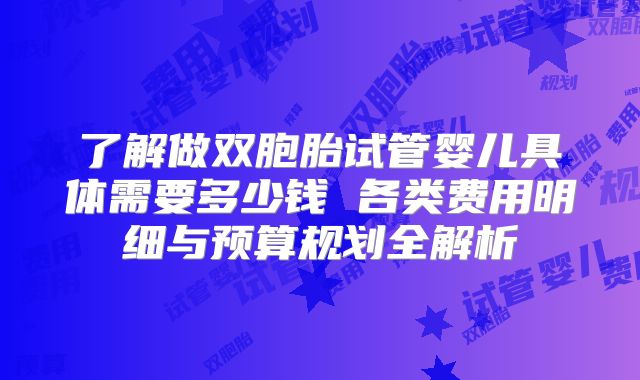 了解做双胞胎试管婴儿具体需要多少钱 各类费用明细与预算规划全解析