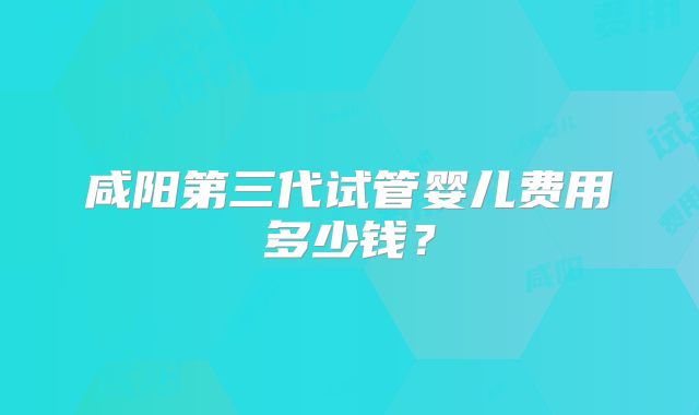 咸阳第三代试管婴儿费用多少钱？