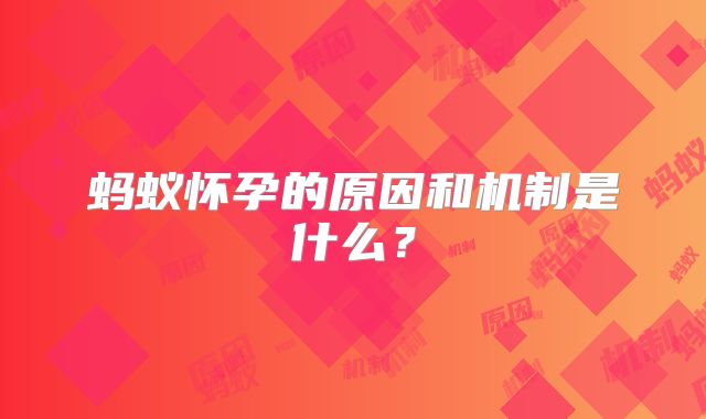 蚂蚁怀孕的原因和机制是什么？