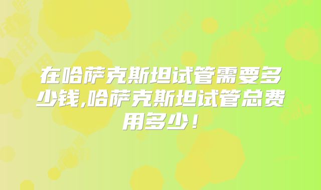 在哈萨克斯坦试管需要多少钱,哈萨克斯坦试管总费用多少！