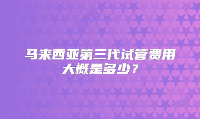 马来西亚第三代试管费用大概是多少？