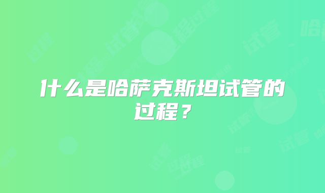 什么是哈萨克斯坦试管的过程？