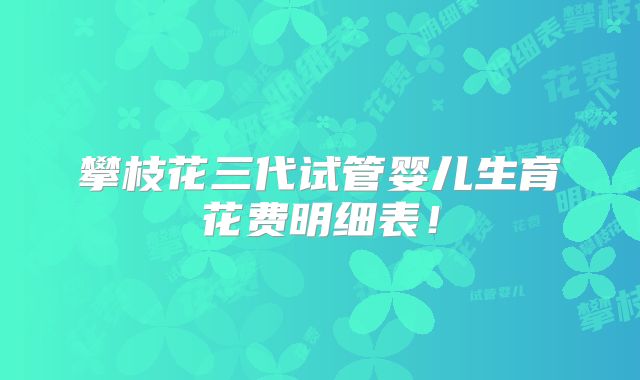 攀枝花三代试管婴儿生育花费明细表！
