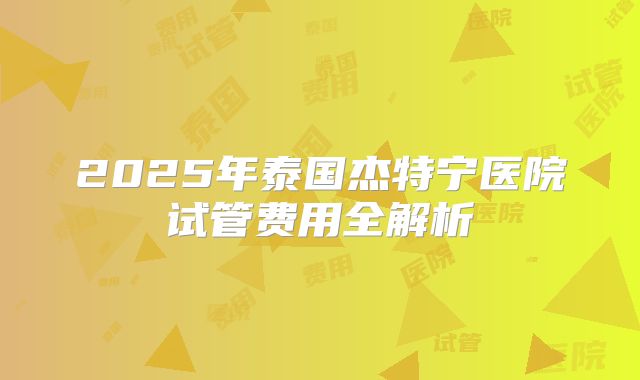 2025年泰国杰特宁医院试管费用全解析
