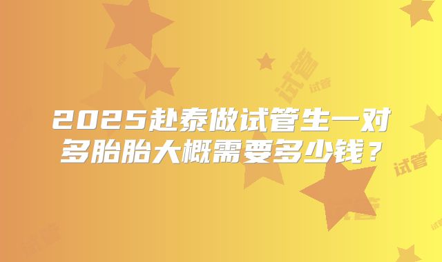 2025赴泰做试管生一对多胎胎大概需要多少钱？