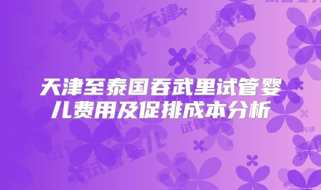 天津至泰国吞武里试管婴儿费用及促排成本分析