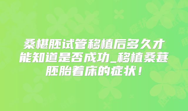 桑椹胚试管移植后多久才能知道是否成功_移植桑葚胚胎着床的症状!