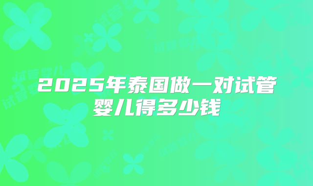 2025年泰国做一对试管婴儿得多少钱