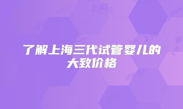 了解上海三代试管婴儿的大致价格