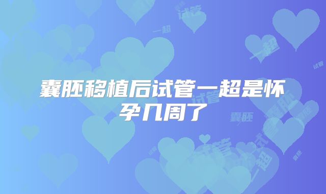 囊胚移植后试管一超是怀孕几周了